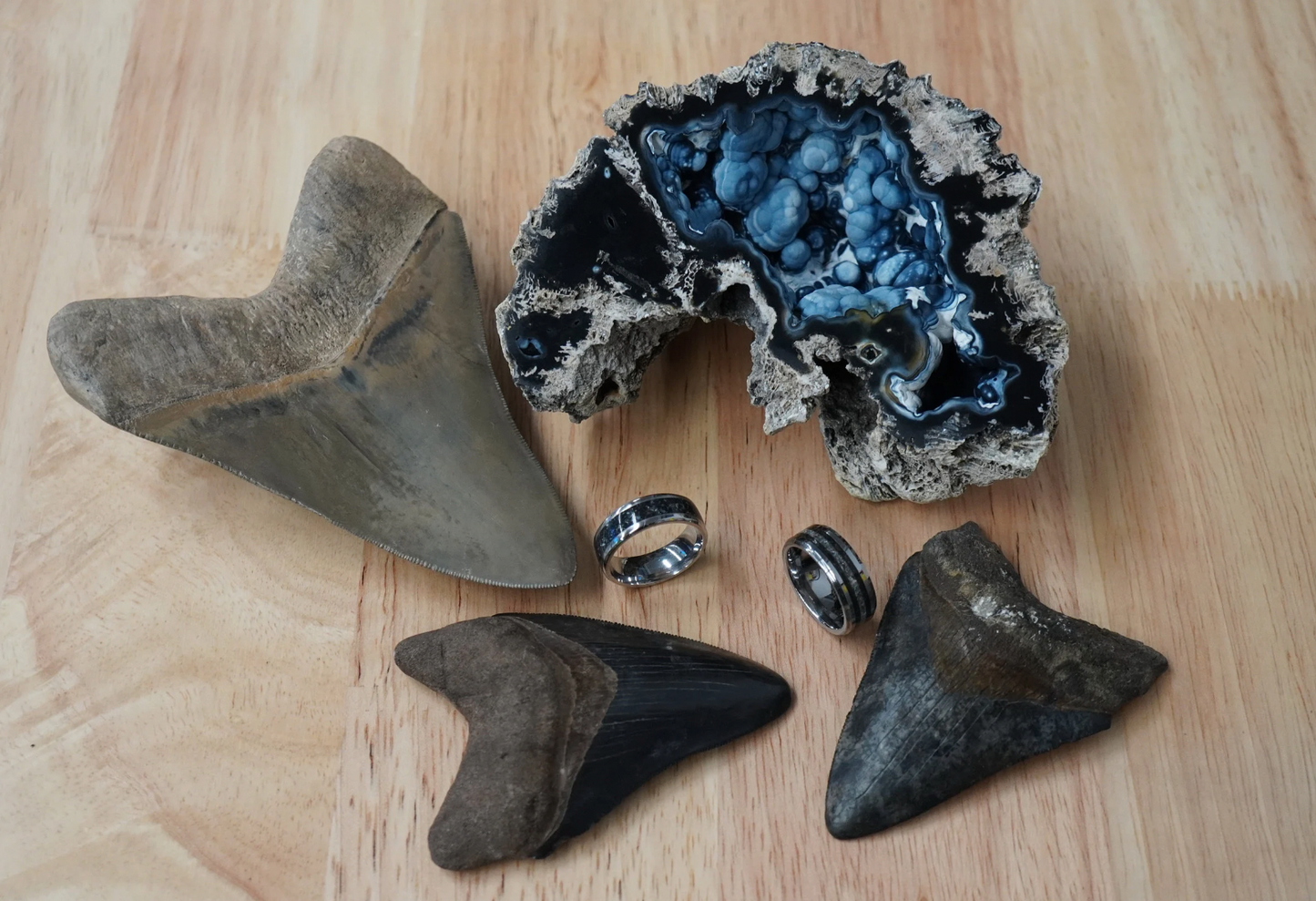 Ancient Ocean Ring - Megalodon Tooth & Fossil Coral Inlay (Banded)